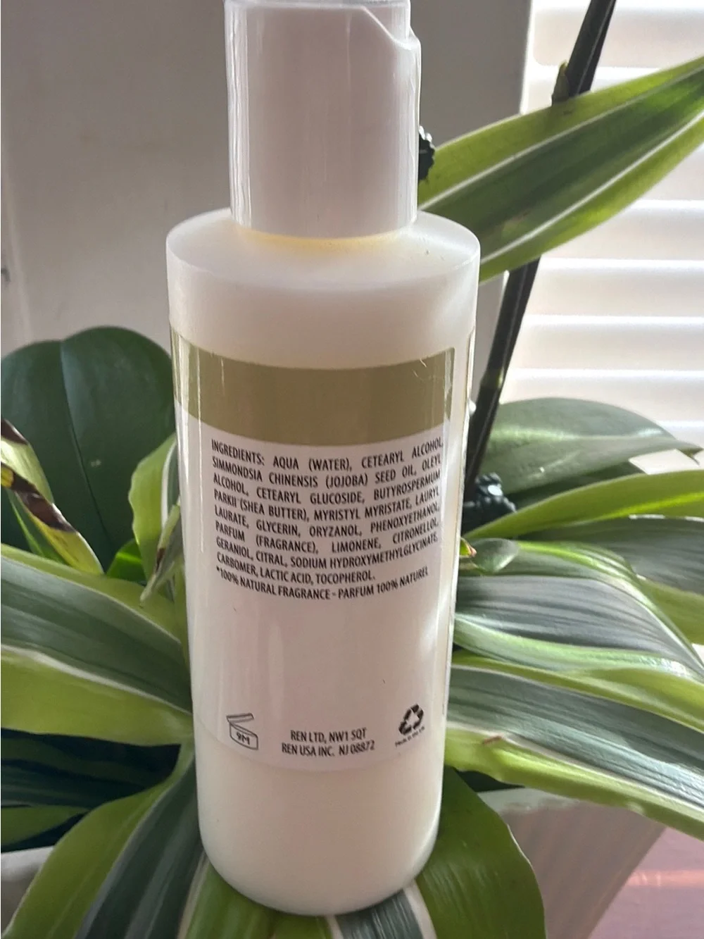 Neroli and Grapefruit Body Cream - White